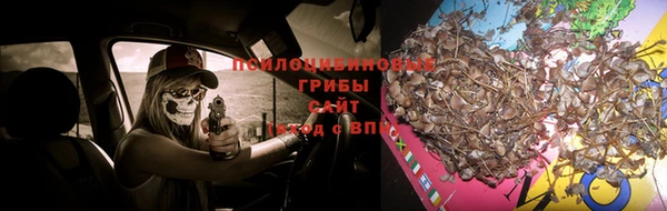 гидропоника Аркадак