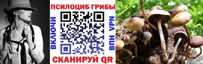 как найти   Нурлат  Псилоцибиновые грибы Magic Shrooms 