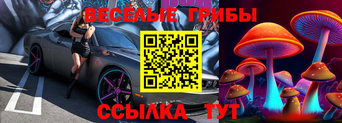 Псилоцибиновые грибы мухоморы Нурлат